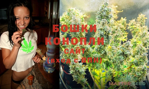 гашик Белоозёрский