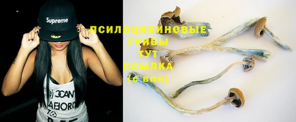 гашик Белоозёрский