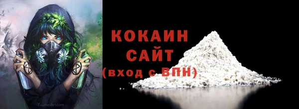 гашик Белоозёрский