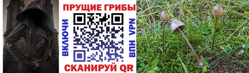 кракен маркетплейс  Волгореченск  Псилоцибиновые грибы ЛСД 