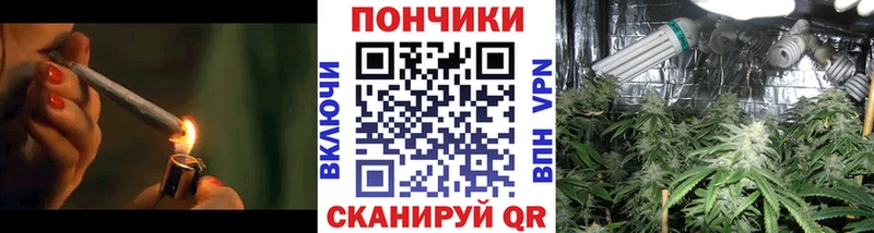 гидра онион Волгореченск Бошки Шишки планчик